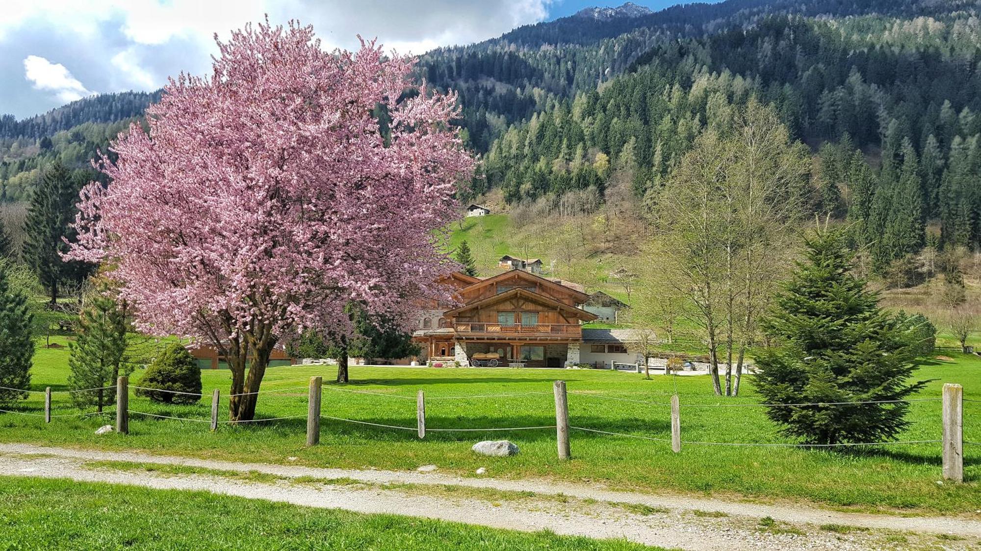 5 Hotel per Famiglie vicino a Fossadei da Prenotare Subito